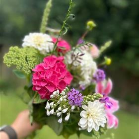 fwthumbWhatsApp Image 2026-04-29 at 21.37.18 (2).jpg